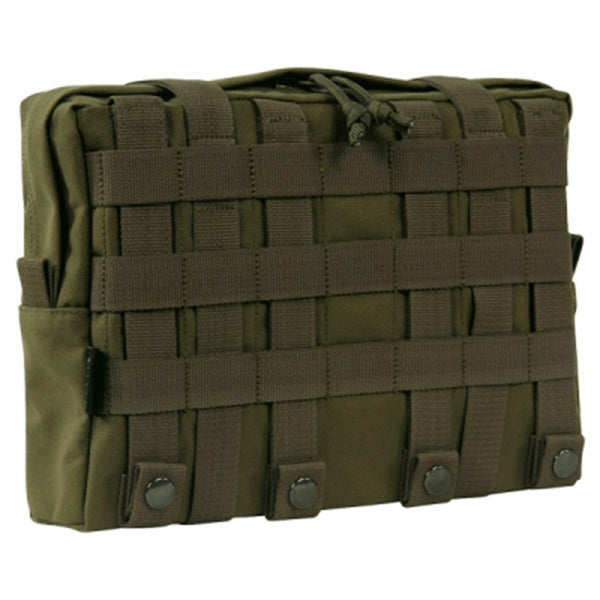 TASMANIAN TIGER TT TAC POUCH 10, oliva