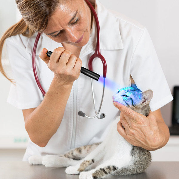 Penna luminosa a LED Dr. K3 UV (con batterie)