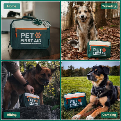 Kit di pronto soccorso per animali domestici
