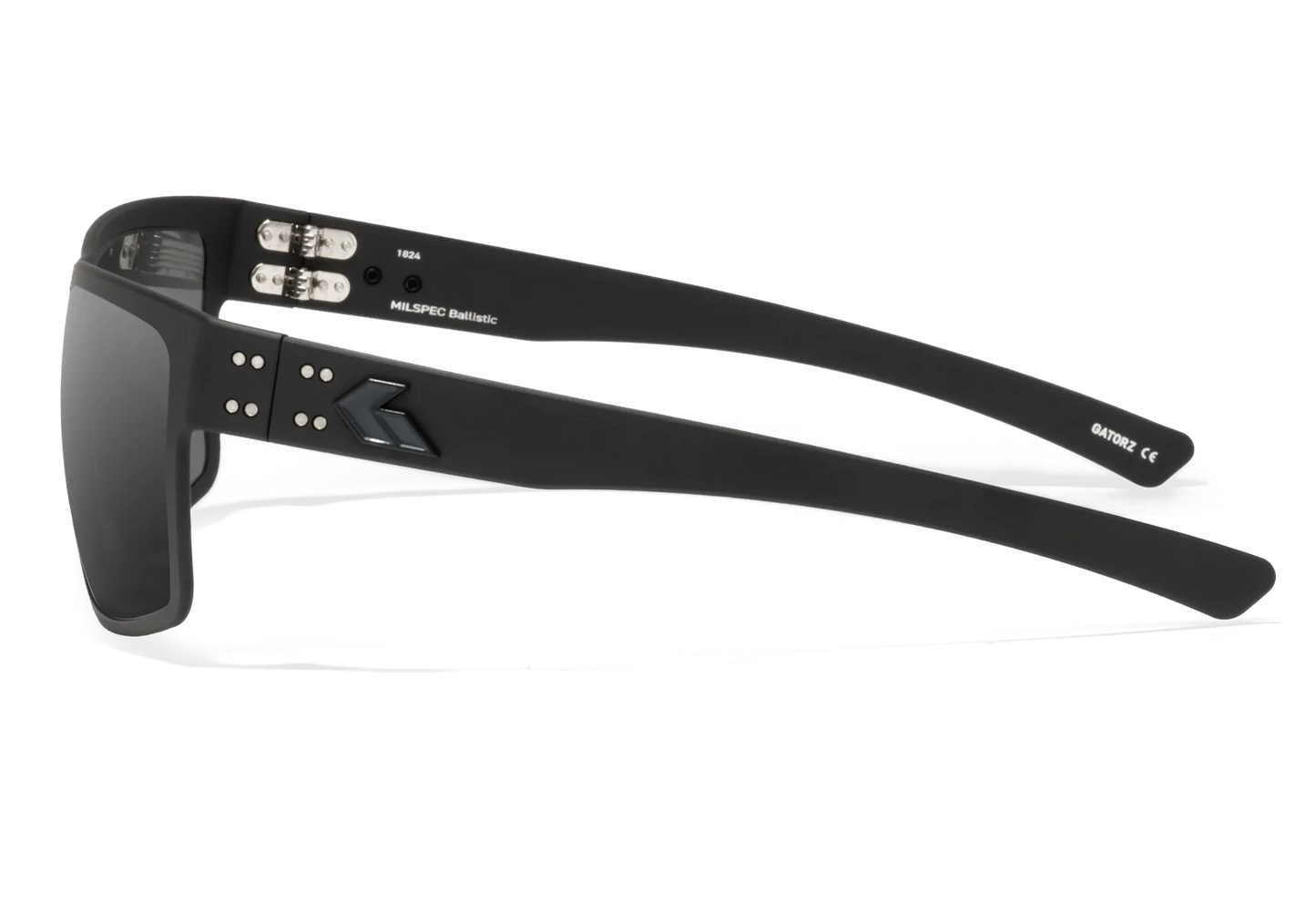 Occhiali da sole Rig MILSPEC Ballistic