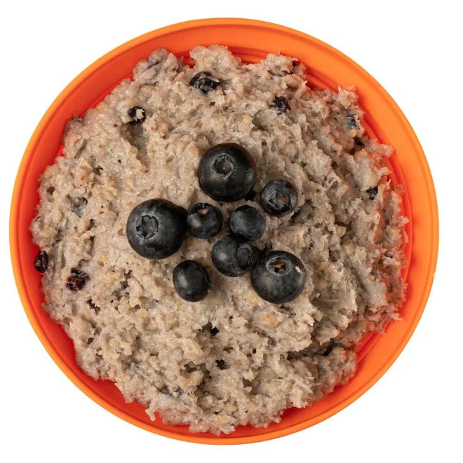 Porridge with Blueberries  (800 kcal) [Vegetarian]